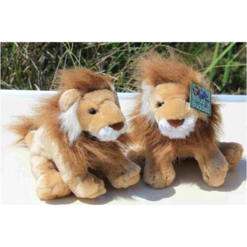 Bush Buddies Plush & Cuddly - Lion - Medium 22cm